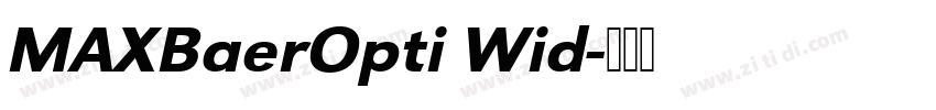 MAXBaerOpti Wid字体转换